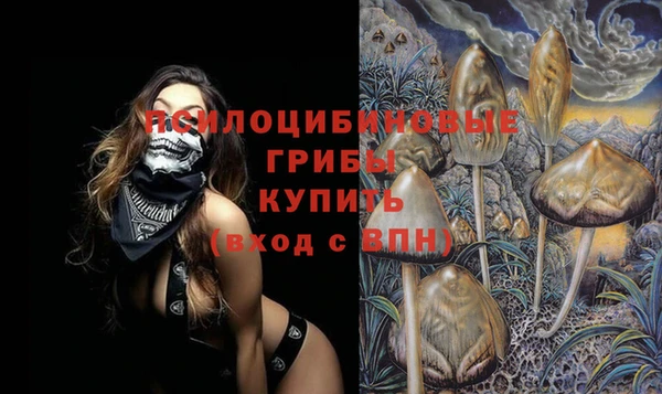 твердый Няндома